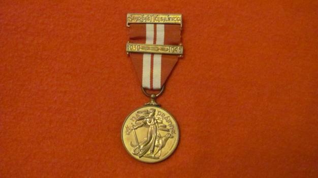 26th Batt Emergency medal
