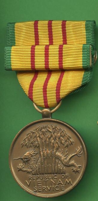 USA Vietnam Medal