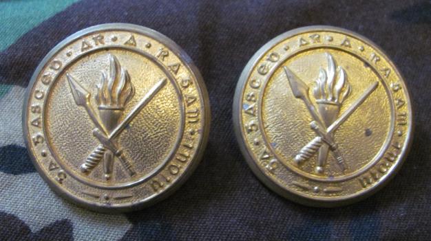 A Pair of Irish Army Officer cadet collar badges in brass