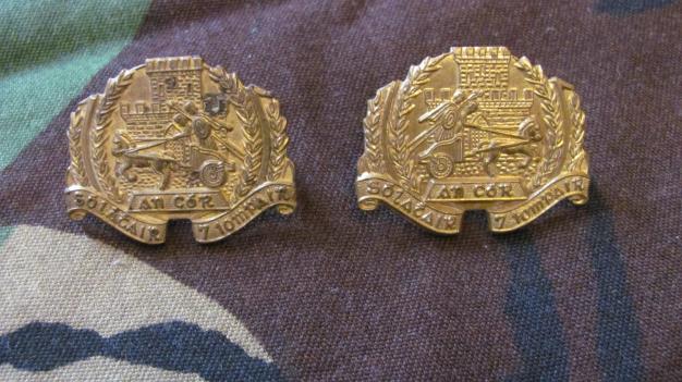 A Pair of Irish Army Transport collar badges in brass