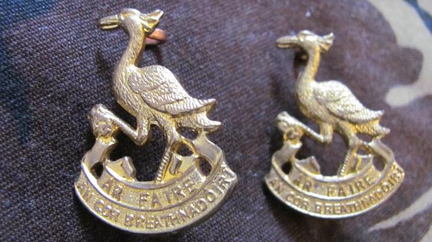 Two Irish Observer Corps collar badges in brass