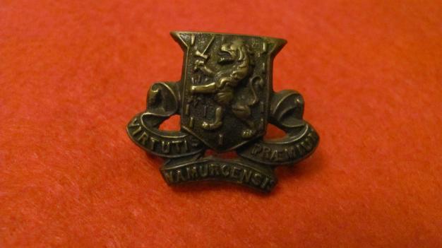 Royal Irish Regiment WW1 officers collar badge