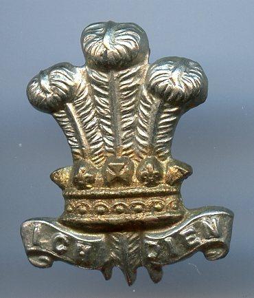 Leinster Regiment collar badge