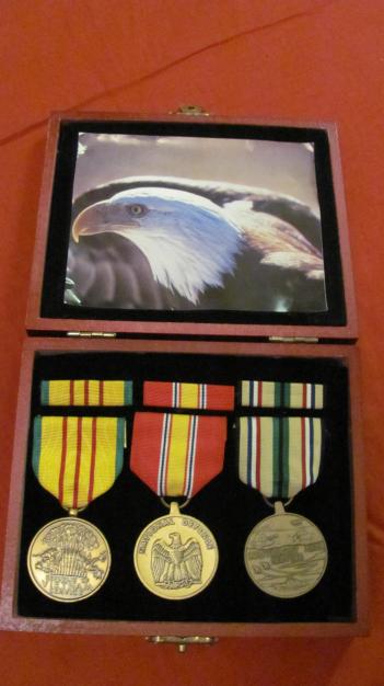 USA Vietnam 3 Medal Set In Fitted Box