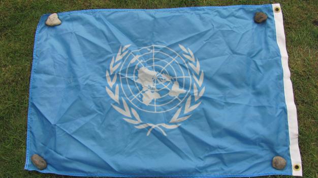 Medium sized United Nations flag