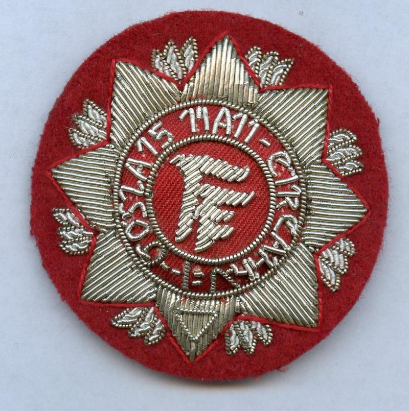 Irish army Senior officers cap badge