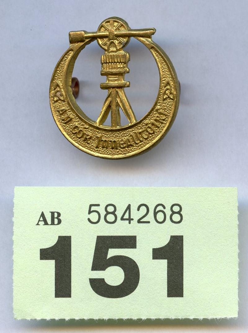 Irish Engineer Corps Collar Badge