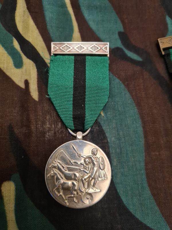 Distinguished Service Medal 1st Class